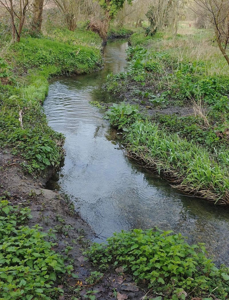 Parc des Aulnes 2